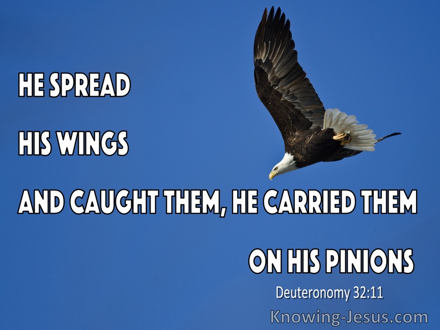 Deuteronomy 32:11 Like An Eagle The Stirs Up Its Nest (blue)